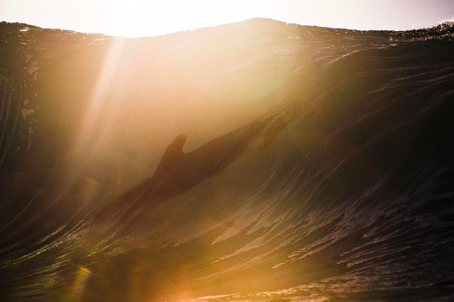 Byron Bay Dolphins