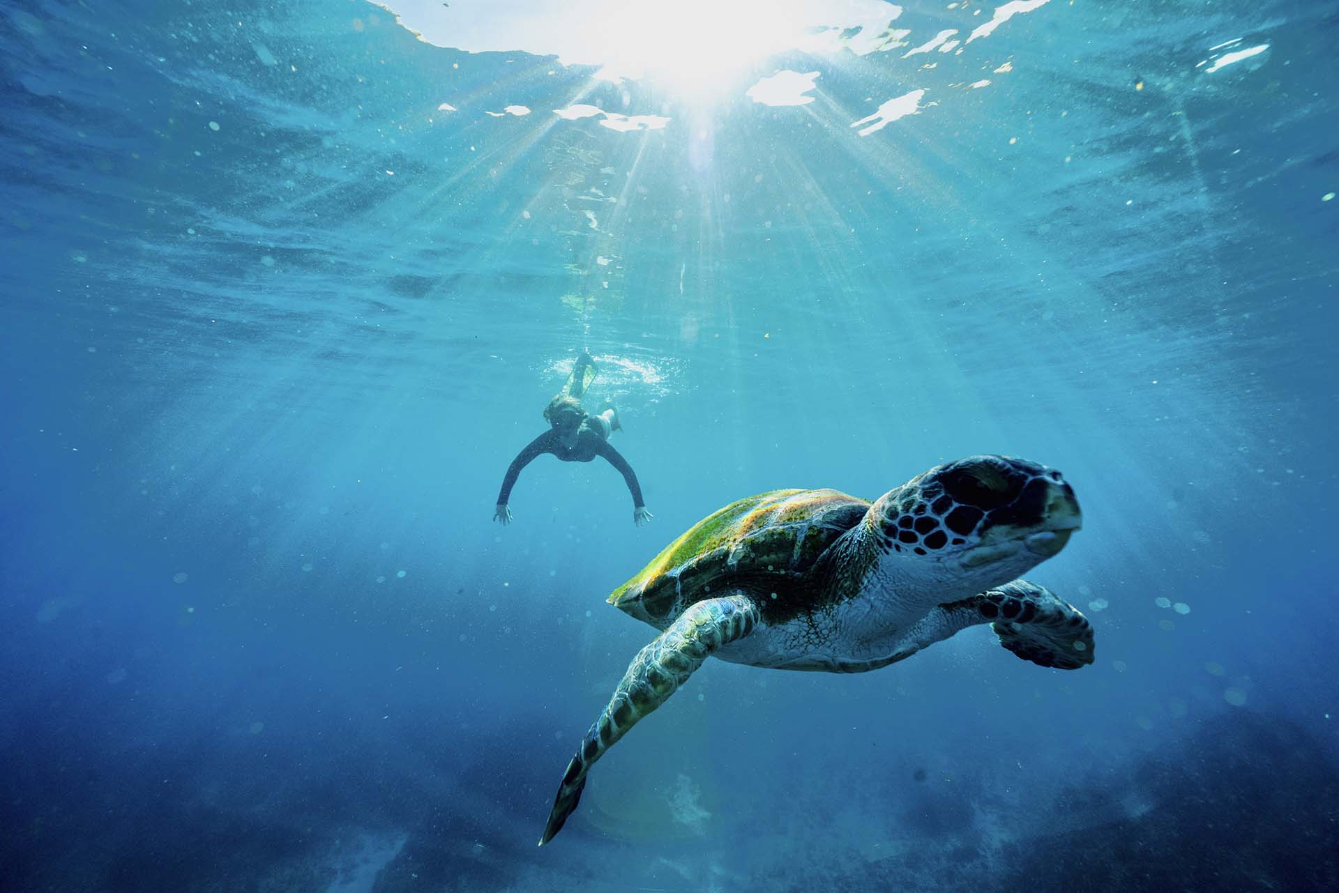 Byron Bay Day Trips Cruises & Boat Tours Out Of The Blue Adventures