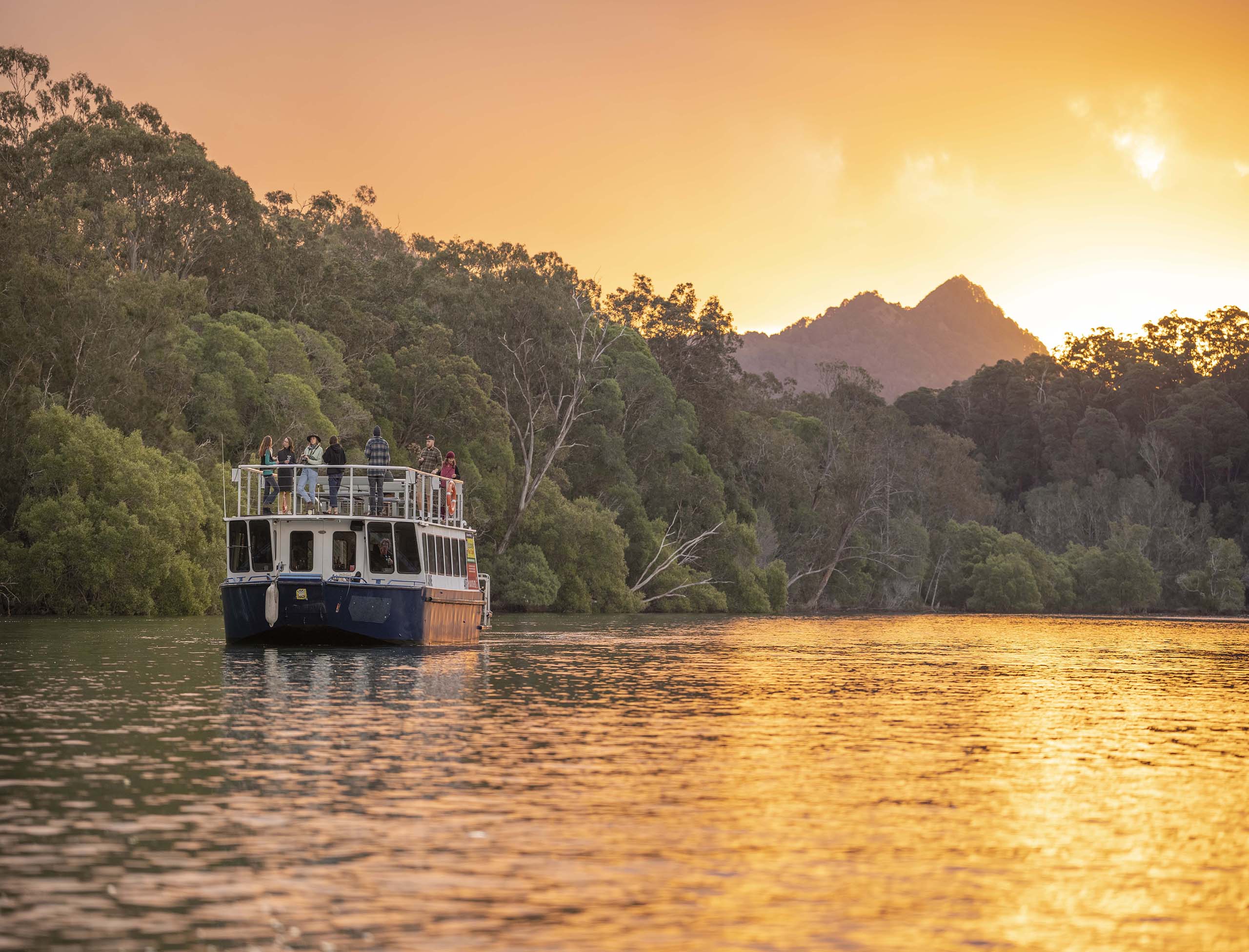 Byron Bay Day Trips Cruises & Boat Tours Out Of The Blue Adventures